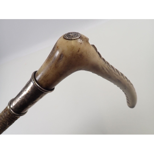 816 - A Swaine & Adeney horn handled riding crop with silver plated collar