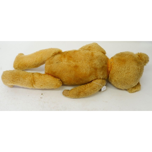 925 - A large gold plush jointed teddy bear, 66cm