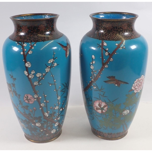 947 - A pair of Japanese Meiji period cloisonné tall vases decorated birds and blossom on a blue ground, 3... 