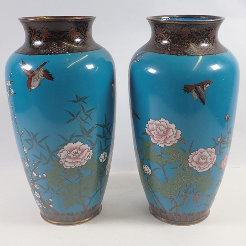 947 - A pair of Japanese Meiji period cloisonné tall vases decorated birds and blossom on a blue ground, 3... 