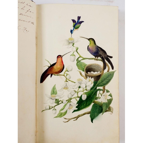 1066 - An early 19th century album of very fine watercolours and text including botanical studies, landscap... 