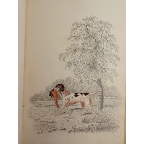 1066 - An early 19th century album of very fine watercolours and text including botanical studies, landscap... 