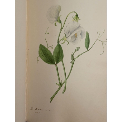 1066 - An early 19th century album of very fine watercolours and text including botanical studies, landscap... 