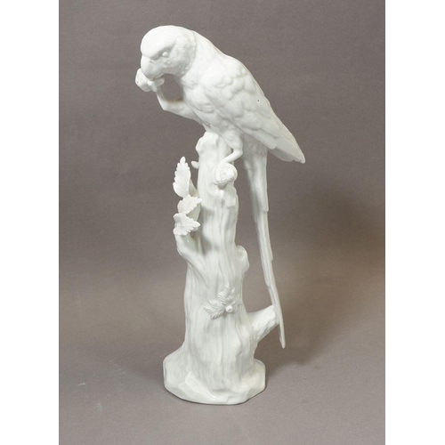 133 - A Dresden porcelain white parrot, 31cm tall