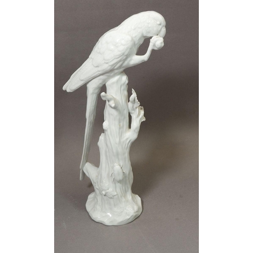 133 - A Dresden porcelain white parrot, 31cm tall