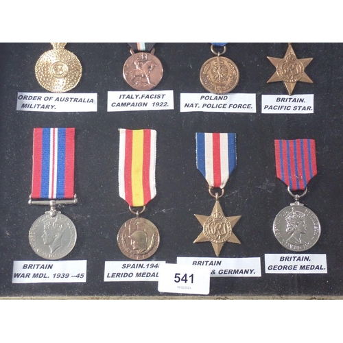 541 - A collection of WWII world medals, framed and glazed, some replicas