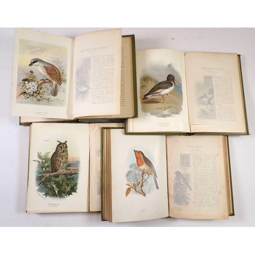 594 - Four volumes 'Familiar Wild Birds' by W Swaysland 1883, chromo plates by A Thorburn/E Turck - first ... 