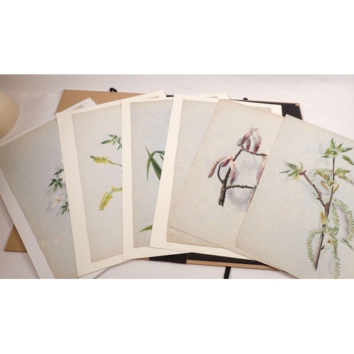 1179 - A folder of eight botanical watercolour studies from Norfolk and Cambridgeshire mid-19th century