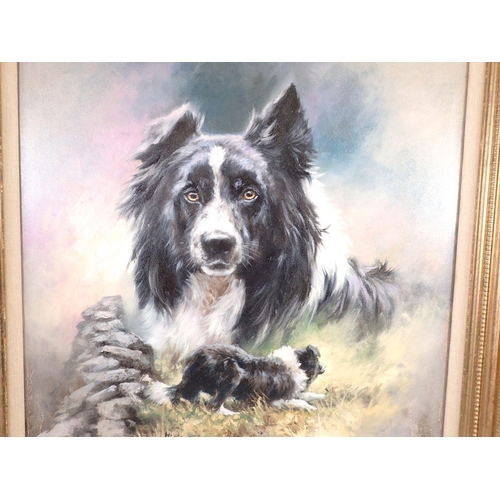 1234 - Mick Cawston - oil on canvas collie dog crouching and portrait, signed and dated 1996, 49 x 49cm