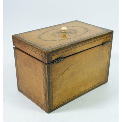 1297 - A George III satinwood rectangular tea caddy with marquetry paterae, harebell and ribbon decorations... 