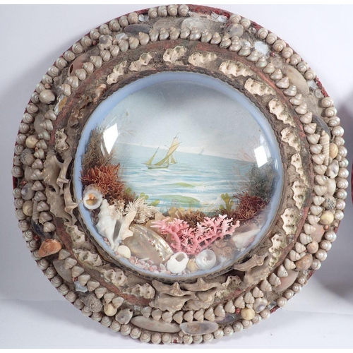 903 - Two Victorian circular shipping prints in sea shell frames, 26cm diameter