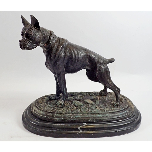 952 - A Victorian spelter figure of a mastif dog on marble base, 28cm high