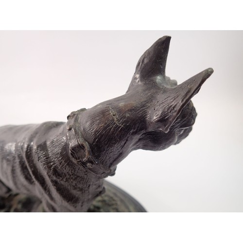 952 - A Victorian spelter figure of a mastif dog on marble base, 28cm high