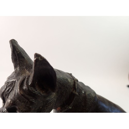 952 - A Victorian spelter figure of a mastif dog on marble base, 28cm high