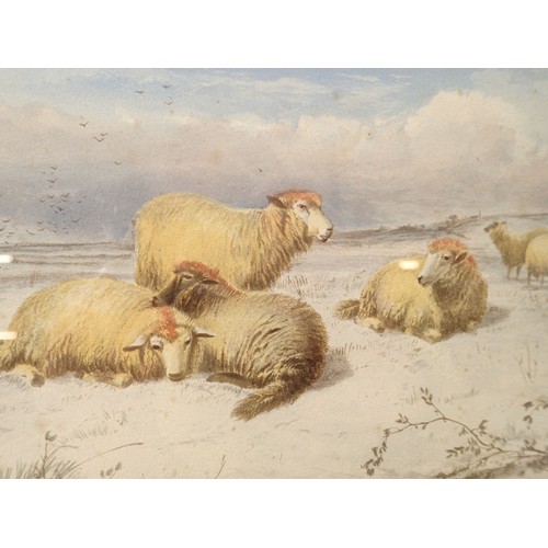 955 - Thomas Sydney Cooper - watercolour sheep in the snow, signed and dated 1862, 29 x 15cm