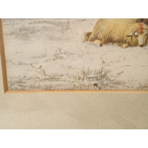 955 - Thomas Sydney Cooper - watercolour sheep in the snow, signed and dated 1862, 29 x 15cm