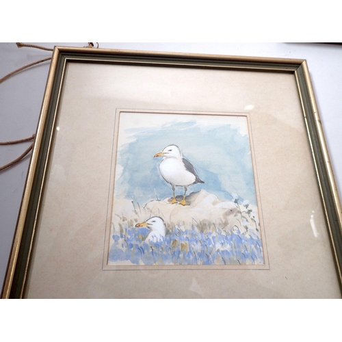 1075 - Robin Renkill - watercolour puffins, 17.5 x 25cm and two other watercolours of seagulls