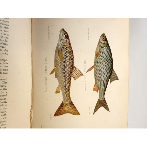 726 - Two books on fishing: British Freshwater Fish by Sir Herbert Maxwell (1904) and Angling in British A... 