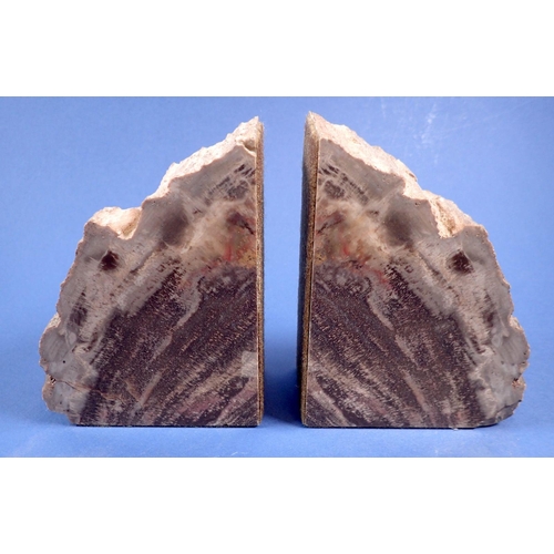 809 - A pair of fossilised wood bookends, 12cm tall