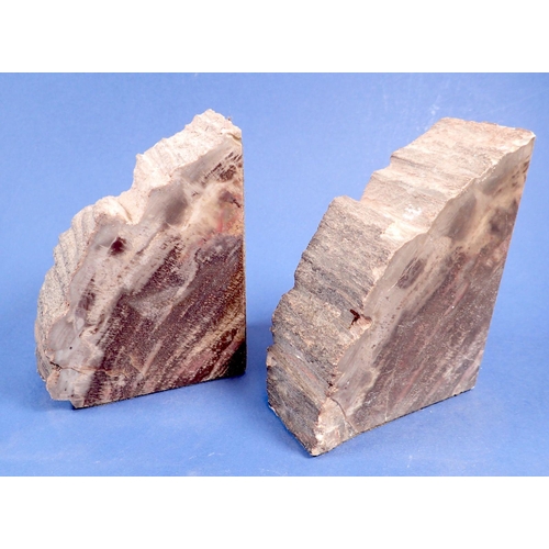 809 - A pair of fossilised wood bookends, 12cm tall