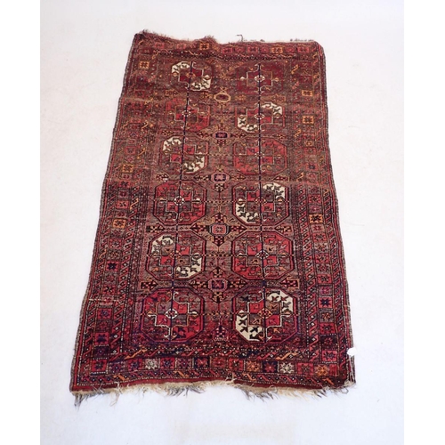 1080 - An antique Turkoman rug with two rows of guls on a brown and red ground - poor condition, 159 x 100c... 