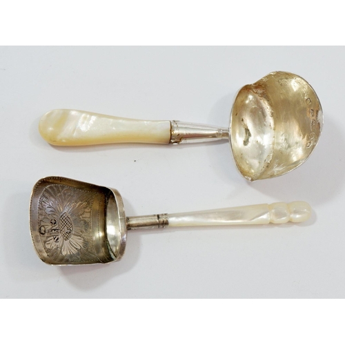 Lot 349       