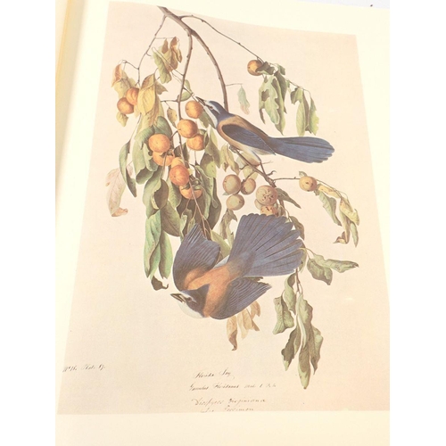 622 - The Original Watercolour Paintings by John James Audubon for The Birds of America in two volumes in ... 