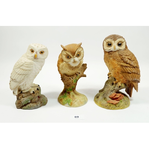 69 - Three Aynsley bisque owls