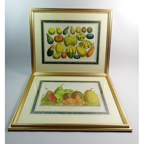 1007 - Louis Van Houtte - pair of 19th century lithograph prints from Flores de Serres, 23 x 32cm