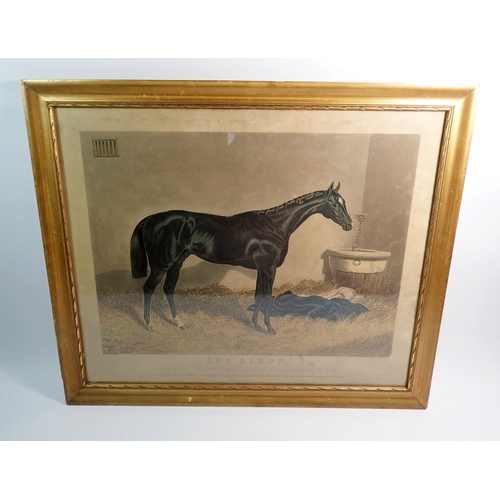 1013 - An engraving of a horse 'The Baron' 38 x 51cm and an oileograph Blinks Bonny, 46 x 65cm