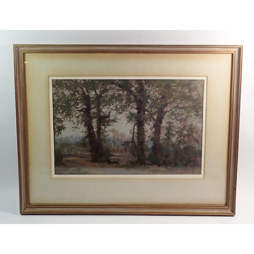 1018 - Margaret Lightbody - pastel 'Elms at Nape' forest scene, 25 x 38cm