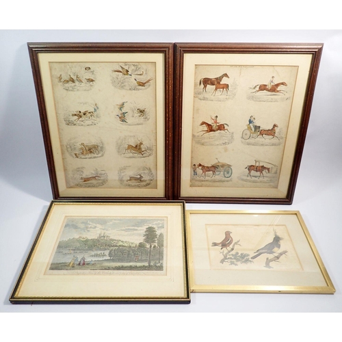 1024 - A Perspective View of the City of Lincoln and three other prints of game birds, horse racing and bir... 