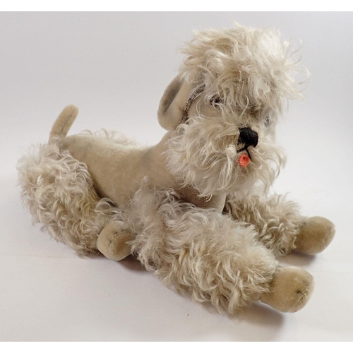 1054 - A Steiff large poodle, 40cm tall