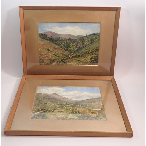 1090 - D Taylor - pair of watercolours moorland and hills, 21 x 29cm