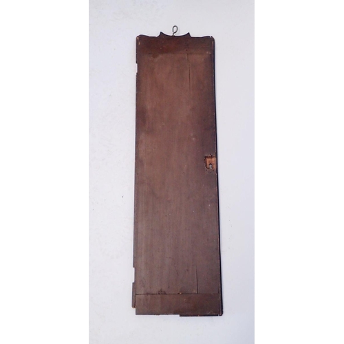 1103 - An interesting 18th century narrow mahogany door panel painted classical decoration incuding cornuco... 