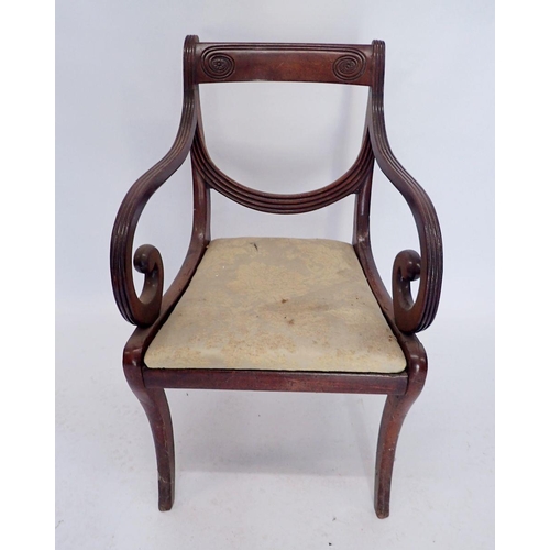 1137 - A Regency mahogany carver chair with incised top rail and scroll over arm supports all on sabre legs