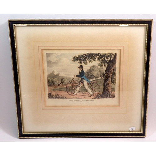 1185 - An Ackermans early 19th century coloured bicycle engraving 'Pedestrian Hobby Horse' 15 x 20cm