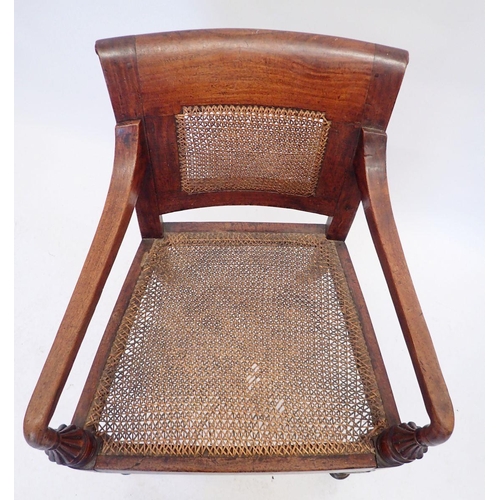 1187 - A Regency mahogany carved gentleman's chair on reeded supports