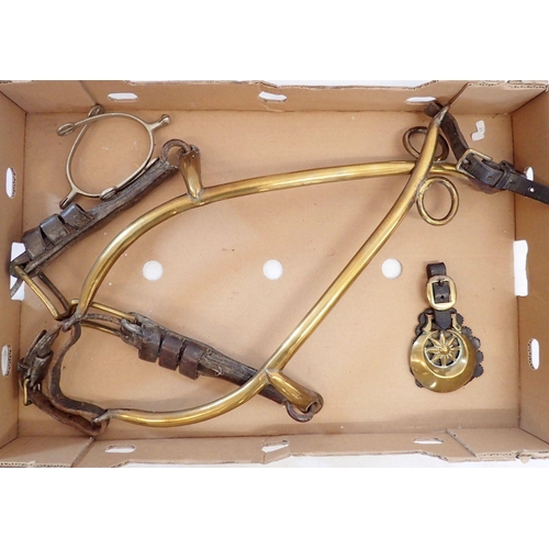 1196 - A brass and leather horse collar, pair of stirrups and a horse brass