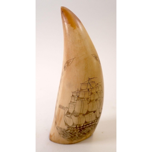 767 - A whales tooth scrimshaw with whale and sailing ship decoration, 14cm