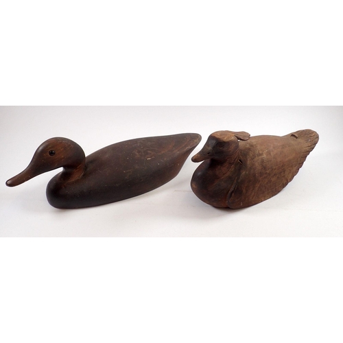 823 - Two carved wood decoy ducks, largest 37cm