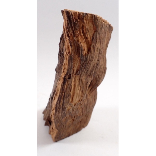 824 - Gladstone Reza - ironwood sculptural driftwood carving of a man's face, 20cm tall