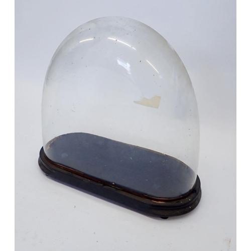 936 - A Victorian oval glass dome on stand, 44 x 43cm, glass undamaged