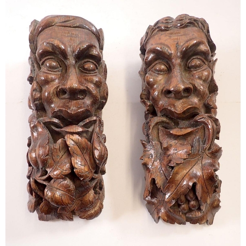 962 - A pair of 19th century carved oak corbels with green man heads sprouting vines and leaves and flower... 