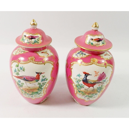 111 - A pair of Sevres style small porcelain vases and covers painted exotic birds, 17cm tall