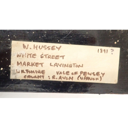 1138A - A large Victorian taxidermy pike in river bed case with label 'W Hussey, White St, Market Leamington... 