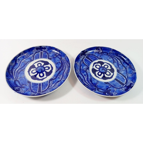 167 - A pair of Japanese blue and white plates painted stylised aquatic decoration