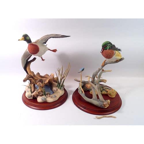 69 - Two duck groups by Franklin Mint 'The Wood Duck' a/f and 'The Mallard'