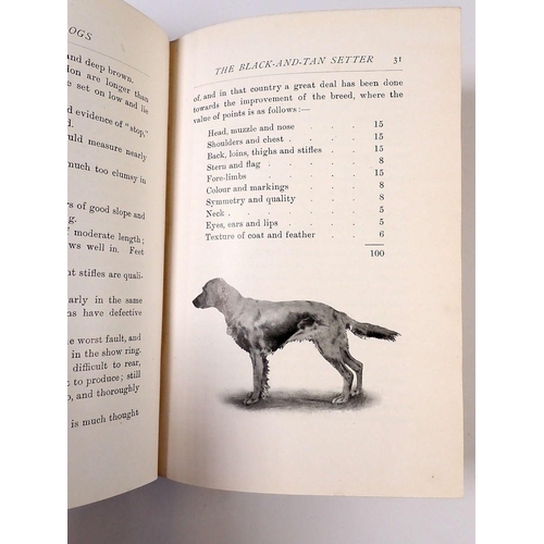 895 - Sporting Dogs and Non Sporting Dogs by Frank Townsend Burton 'Their Points & Management'