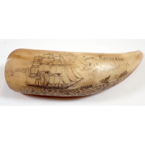 981 - A whales tooth scrimshaw with whale and sailing ship decoration, 15.5cm